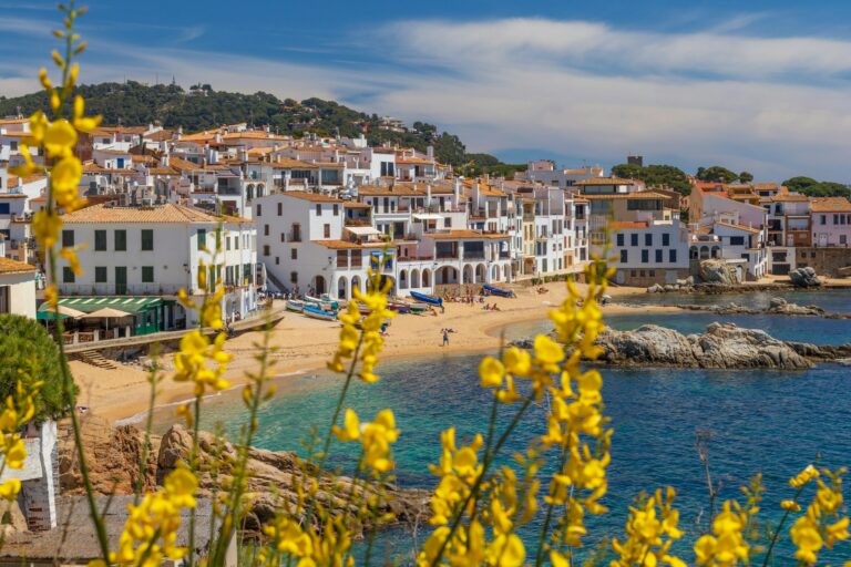 Lire la suite à propos de l’article Les avantages de faire son séminaire en Espagne pendant la période Automne-Hiver